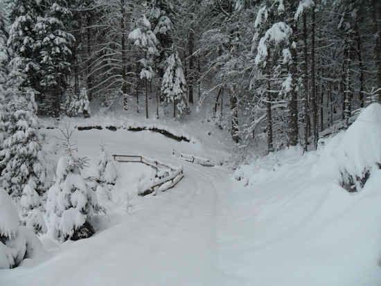 schm-locations-saisonnieres-7