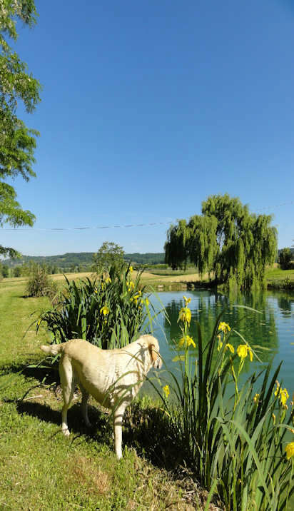 gite-lot-garonne-7