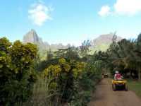 Société d'excursions en QUAD - Polynésie Française