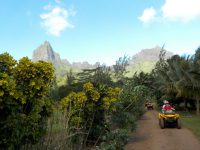 Société d'excursions en QUAD - Polynésie Française