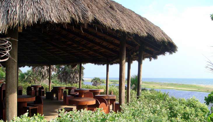 Bar du domaine