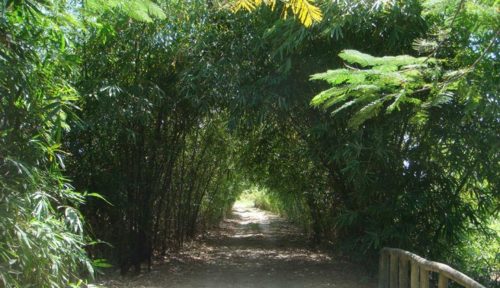 Domaine Hôtelier à vendre au Congo Brazzaville