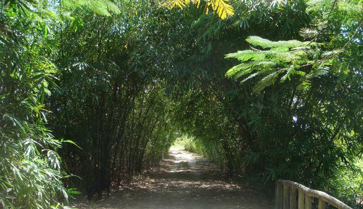 Entrée du domaine