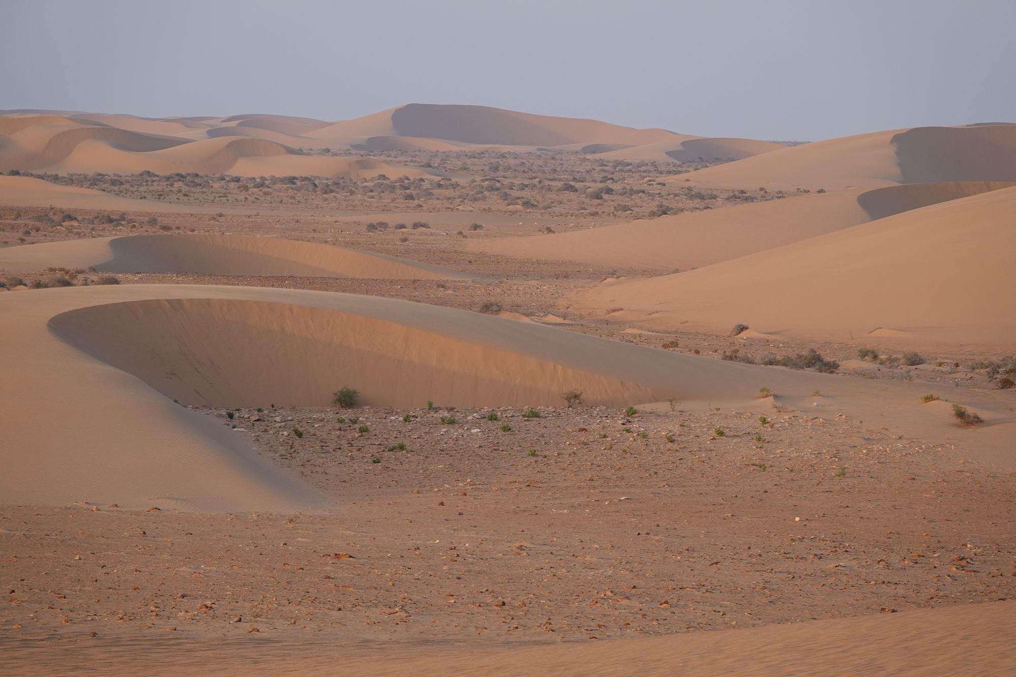 Camping à vendre au Maroc : Camping à vendre au Maroc. Le Camp Bédouin est un camping mythique sur la route de Dakhla et de l'Afrique de l'Ouest