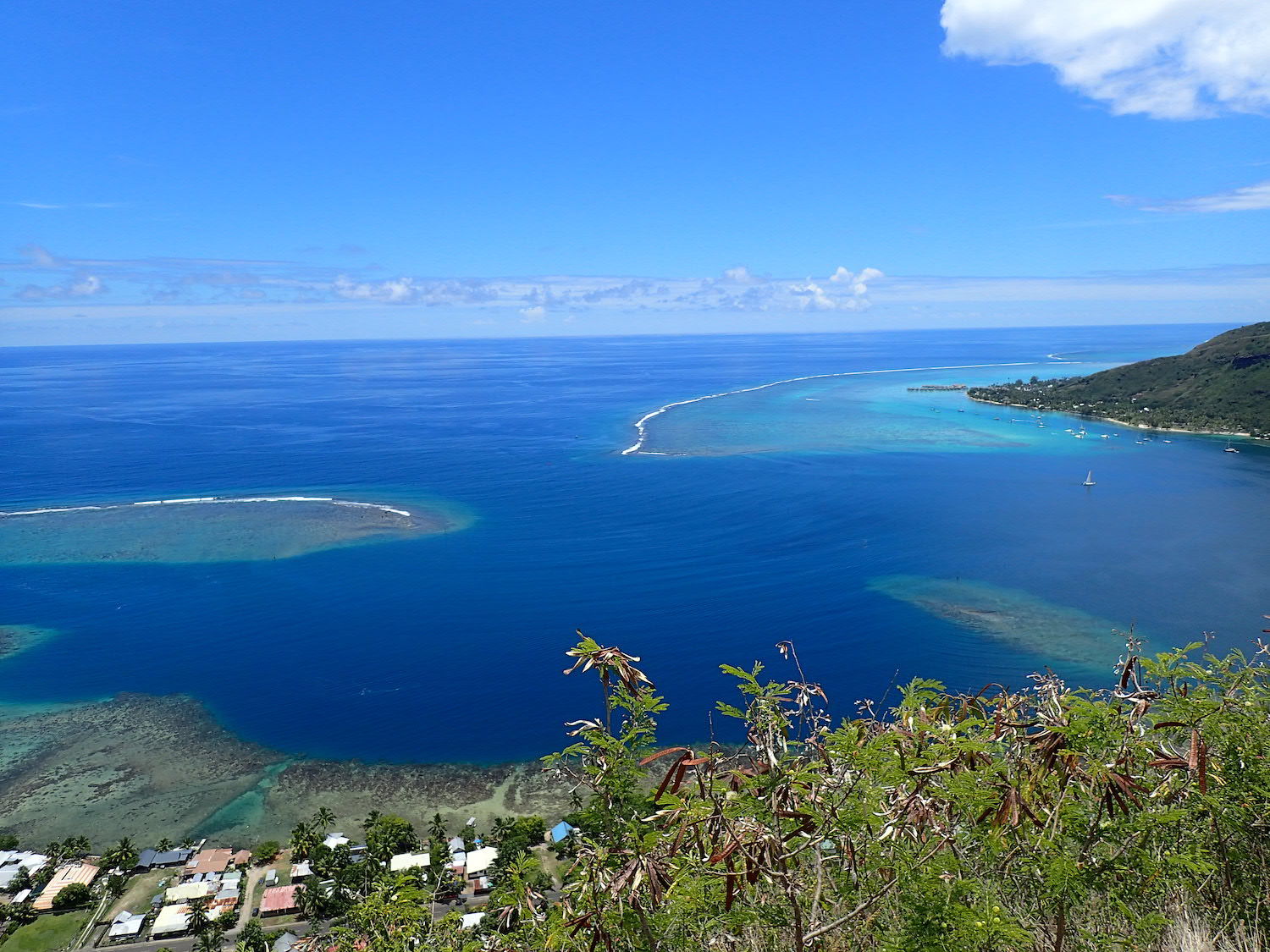 A vendre sociétés touristiques en Polynésie Française (Moorea) à 17Km de Tahiti