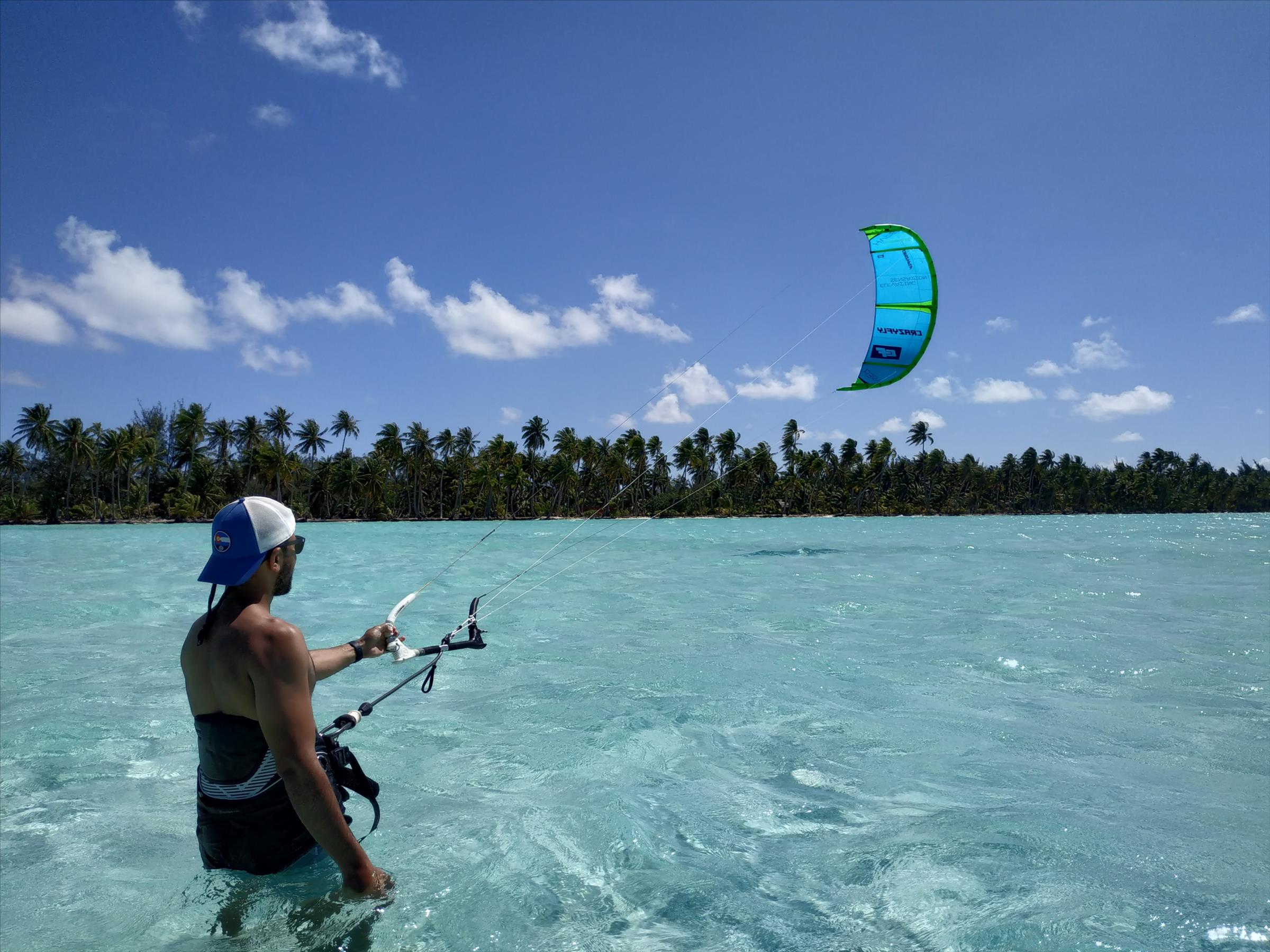 kite debutant