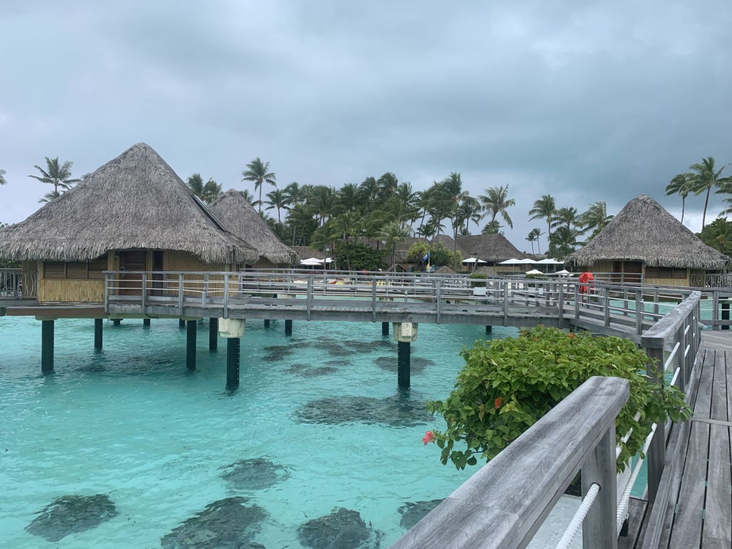 Vente site Internet locations de villas Tahiti