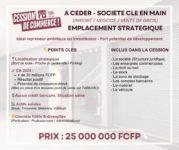 Société clé en main d'importation, négoce et vente de gros à PAPEETE