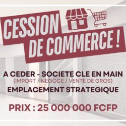 A vendre - Société d'importation clé en main (Boutique Papeete en Polynésie)