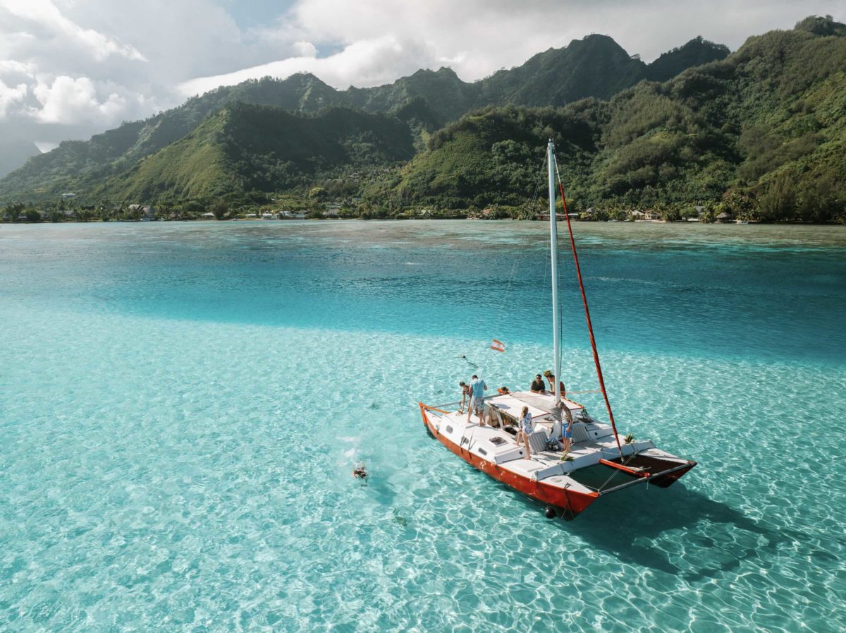 Entreprise à vendre en Polynésie Française : Voila Moorea excursions lagonaires en Catamaran