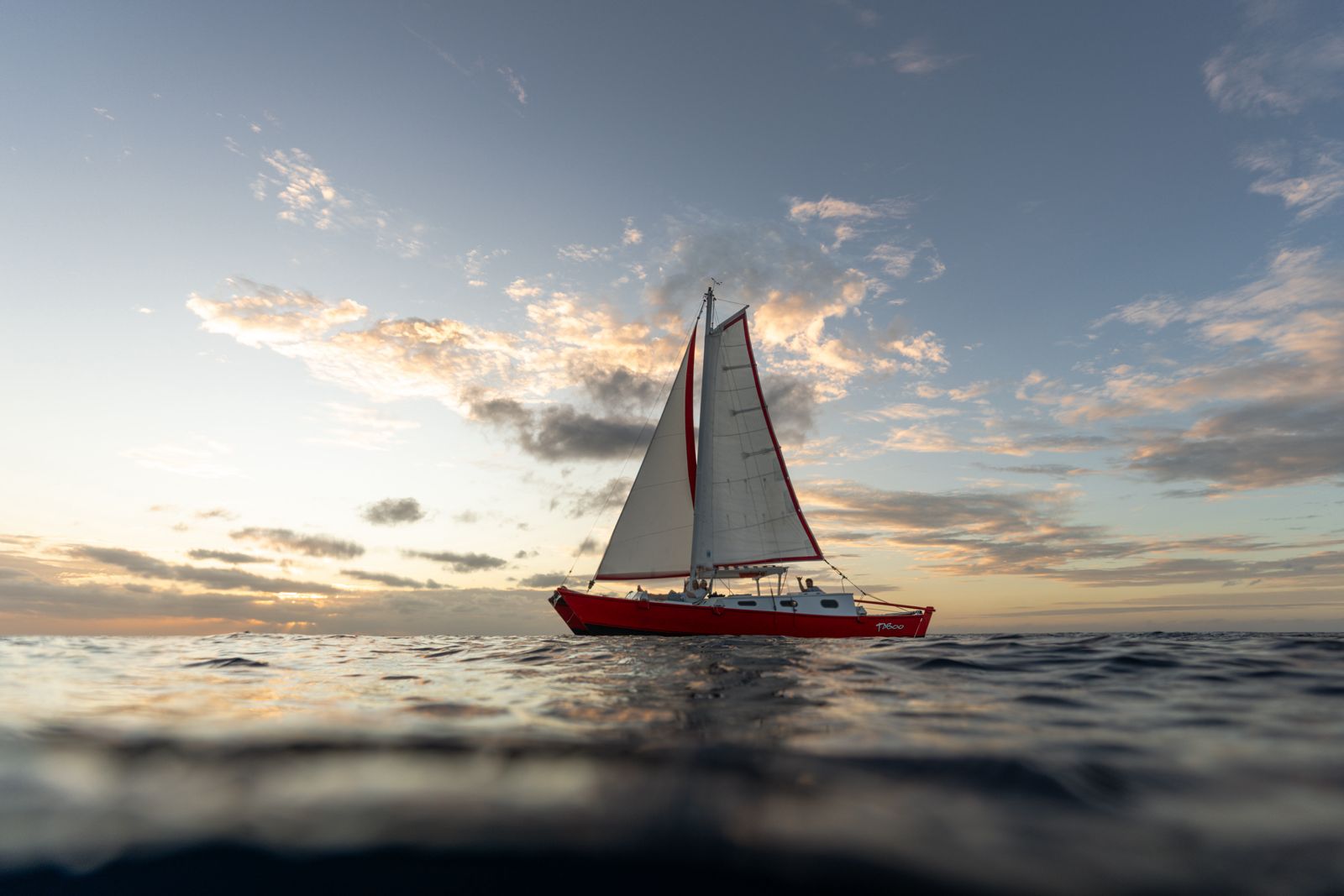 b9c176c8-bee7-43b9-a767-08d2fc728c63