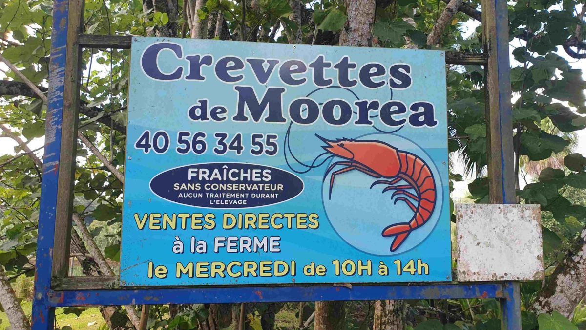 Vente Fonds de commerce élevage de crevettes à Moorea en Polynésie Française