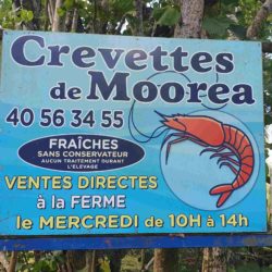 Vente Fonds de commerce élevage de crevettes à Moorea en Polynésie Française