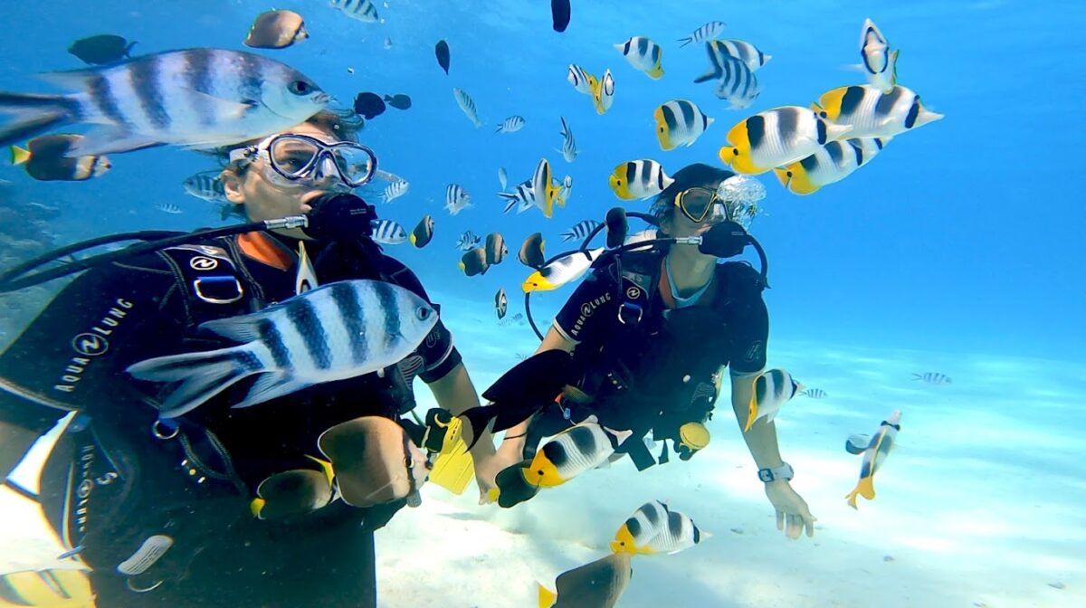 Centre de plongée à vendre à Bora Bora en Polynésie Française
