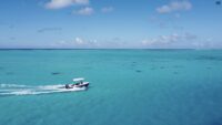 Vente centre de plongée avec bateau à Bora Bora